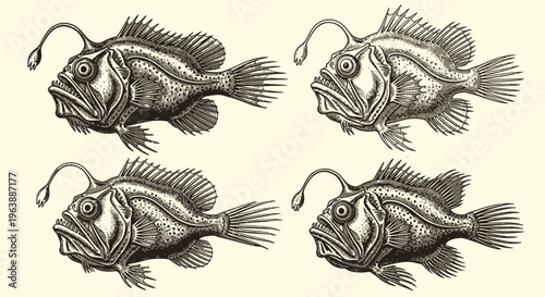 Vintage Engraving Style Anglerfish Illustration Pattern