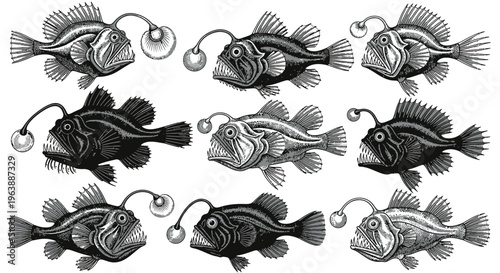 Set of Hand Drawn Anglerfish Illustrations in Vintage Engraving Style