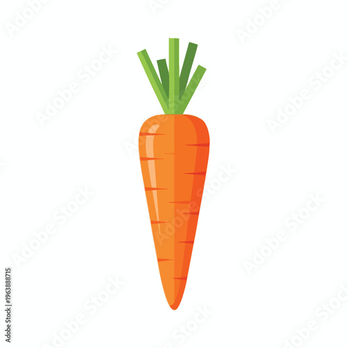 Bright orange root vegetable with green leafy top, isolated on white