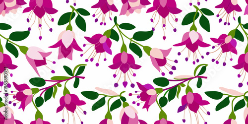Fotografi Repeating pattern of vibrant pink and purple fuchsia flowers on white