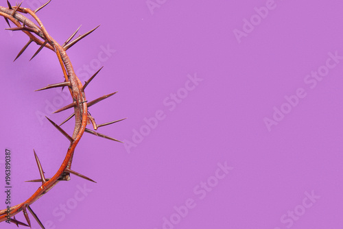Crown of thorns on purple b...
