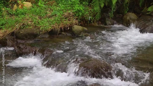 Clear river flow with refreshing scenery, showing crystal water, natural stones, and calming atmosphere in a serene tropical landscape
