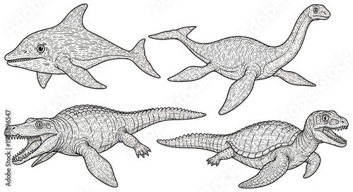 Set of Prehistoric Marine Reptiles Line Art Illustrations