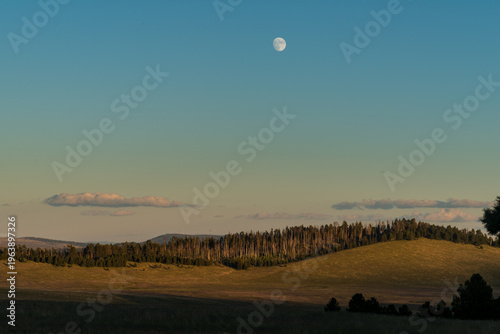 USA, Arizona, Springerville.  Night falls in the White Mountains.