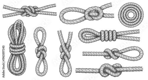 Set of Nautical Rope Knots and Coils Hand Drawn Illustration