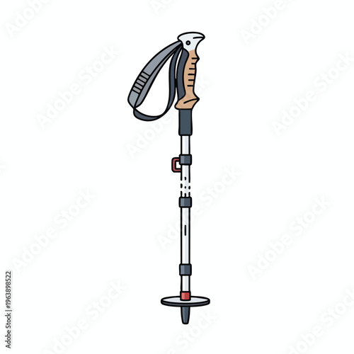 A single walking stick with a strap, adjustable sections, and a basket