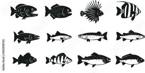 Collection of twelve fish silhouettes with different species designs, marine and freshwater wildlife icons illustration pattern