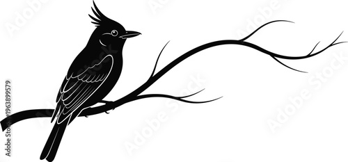 Silhouette of bird perched on branch with crest and detailed feathers, nature wildlife icon illustration design