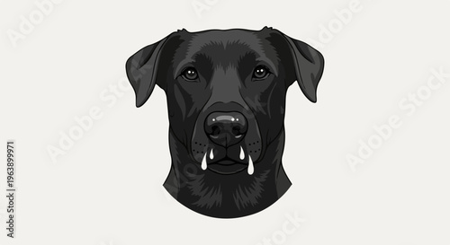 A black dog's head with wet nose and visible teeth