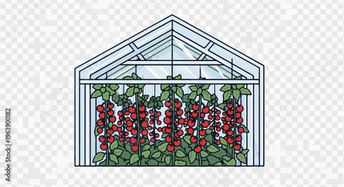 A drawing of a greenhouse filled with ripe red tomatoes on the vine