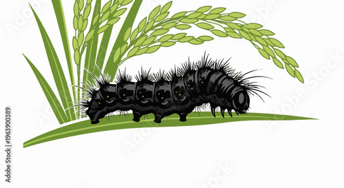 A black, spiky caterpillar crawls on a green leaf with rice stalks above