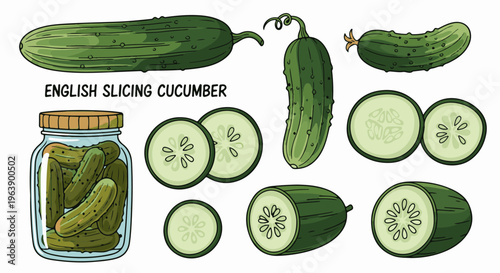 A collection of sliced, whole, and pickled cucumbers in various artistic renderings