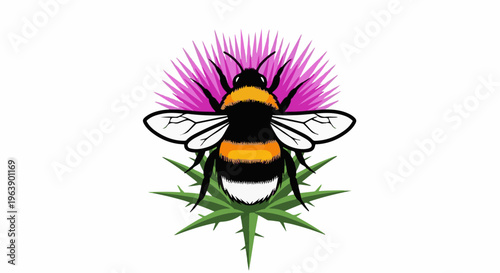 A fuzzy bumblebee with yellow and black stripes sits on a prickly green thistle