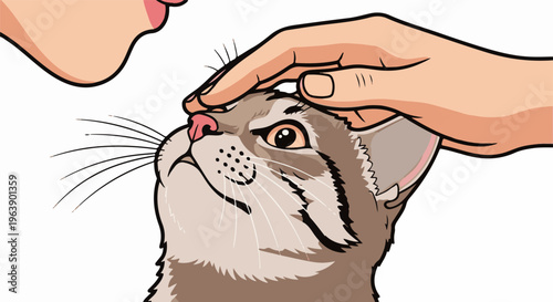 A gentle hand pets a cat's head as lips approach for a kiss