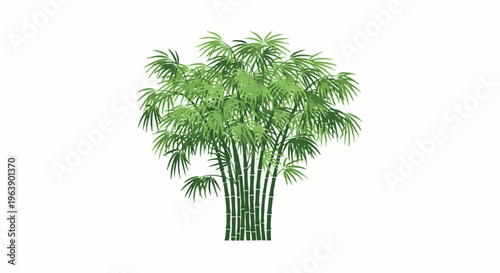 A lush, green bamboo plant with segmented stalks and feathery leaves