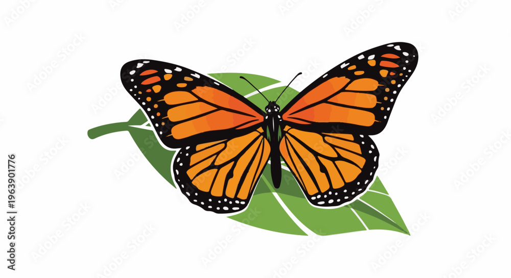 Fototapeta premium A monarch butterfly with orange and black wings rests on a green leaf