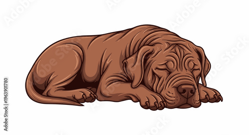 A large brown dog with wrinkled skin rests peacefully