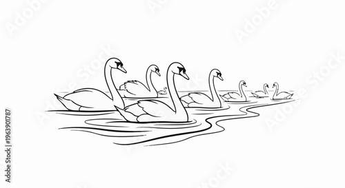 A group of swans elegantly glide across tranquil water