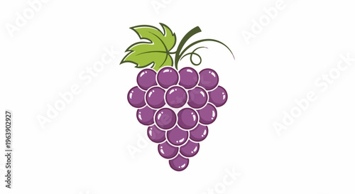 A cluster of ripe purple grapes with a green leaf and stem