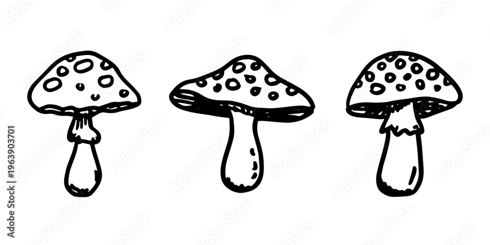 Fototapeta premium Hand drawn mushroom doodle set Botanical illustration Cute autumn mushroom Healthy eco food Organic vegetarian food For stickers, greeting card, design, print, packaging, decor, kids books