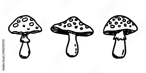 Hand drawn mushroom doodle set Botanical illustration Cute autumn mushroom Healthy eco food Organic vegetarian food For stickers, greeting card, design, print, packaging, decor, kids books