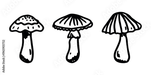 Hand drawn mushroom doodle set Botanical illustration Cute autumn mushroom Healthy eco food Organic vegetarian food For stickers, greeting card, design, print, packaging, decor, kids books