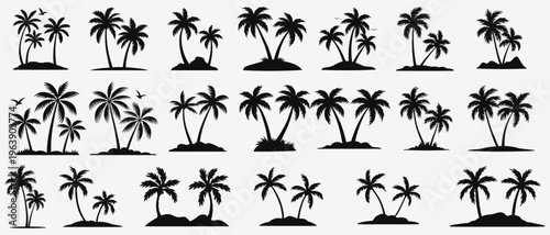 A collection of black silhouette palm trees on white background isolated on white background, Vector, illustration