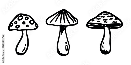 Hand drawn mushroom doodle set Botanical illustration Cute autumn mushroom Healthy eco food Organic vegetarian food For stickers, greeting card, design, print, packaging, decor, kids books