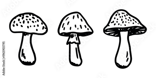Hand drawn mushroom doodle set Botanical illustration Cute autumn mushroom Healthy eco food Organic vegetarian food For stickers, greeting card, design, print, packaging, decor, kids books