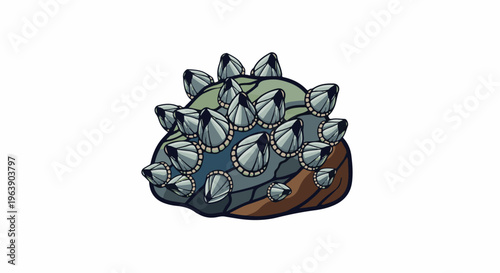 A cluster of barnacles attached to a rocky surface