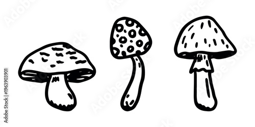 Hand drawn mushroom doodle set Botanical illustration Cute autumn mushroom Healthy eco food Organic vegetarian food For stickers, greeting card, design, print, packaging, decor, kids books