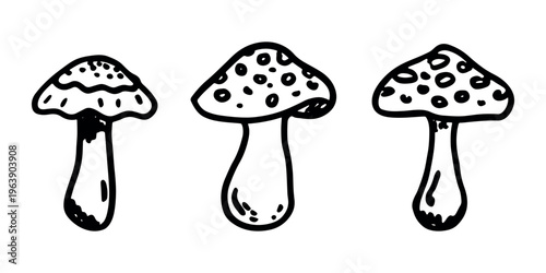 Hand drawn mushroom doodle set Botanical illustration Cute autumn mushroom Healthy eco food Organic vegetarian food For stickers, greeting card, design, print, packaging, decor, kids books