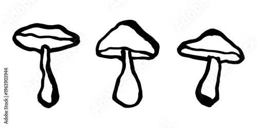 Hand drawn mushroom doodle set Botanical illustration Cute autumn mushroom Healthy eco food Organic vegetarian food For stickers, greeting card, design, print, packaging, decor, kids books