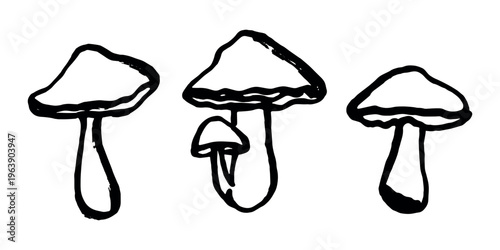 Hand drawn mushroom doodle set Botanical illustration Cute autumn mushroom Healthy eco food Organic vegetarian food For stickers, greeting card, design, print, packaging, decor, kids books