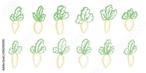 Hand drawn farm daikon radish plant with green leaves Fresh vegetable doodle set Healthy eco food Organic garden vegetarian food For design, print, packaging, decor, kids books