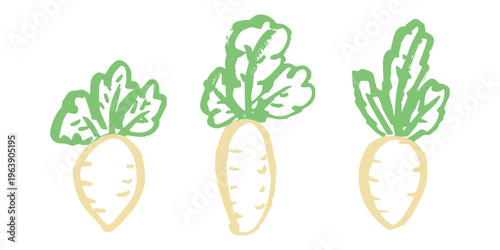 Hand drawn farm daikon radish plant with green leaves Fresh vegetable doodle set Healthy eco food Organic garden vegetarian food For design, print, packaging, decor, kids books