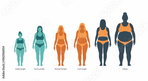 Body Shape Diversity - A Visual Guide to Different Body Types.