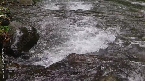 Clear river flow with refreshing scenery, showing crystal water, natural stones, and calming atmosphere in a serene tropical landscape
