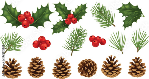 Collection of Christmas holly berries pine needles and pine cones on white background