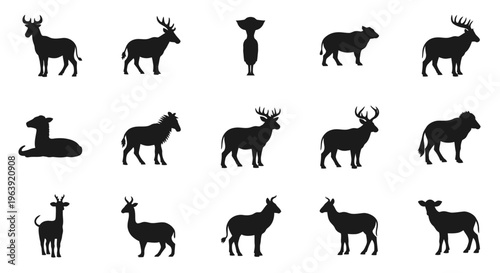Set of Various Wild Animal Silhouettes