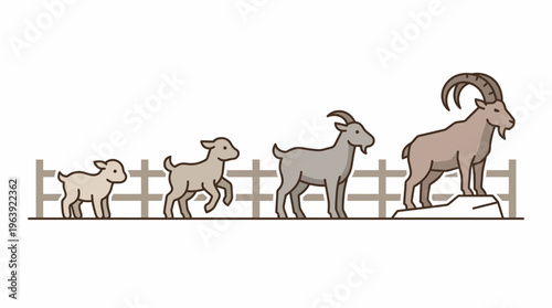 Illustrative timeline showing the natural growth and developmental stages of a goat, from an adorable newborn kid to a majestic, fully-grown adult with impressive horns