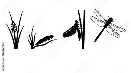 Silhouettes of Dragonflies and Grasses A Visual Representation of Nature's Cycle