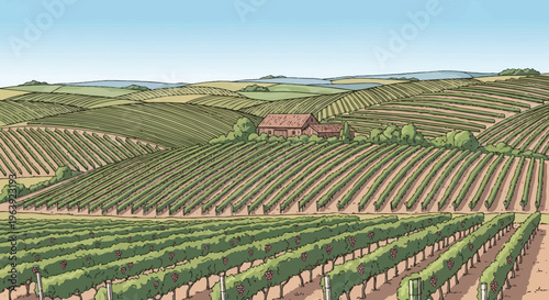 Vineyard Landscape Illustration with Rolling Hills and Farmhouse
