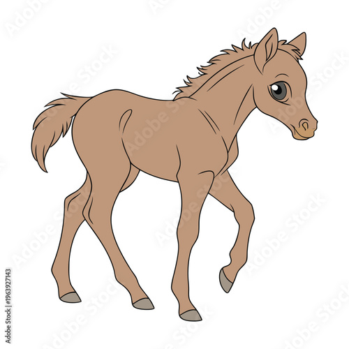 Simple vector line art of a young horse character isolated on a white background