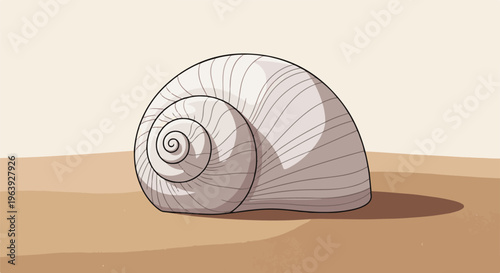 A simple cartoon illustration of a spiral shell resting on sand