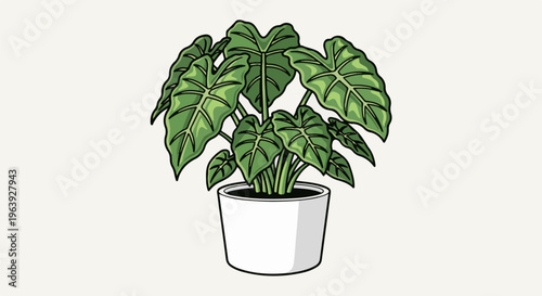 A potted plant with large, green, arrow-shaped leaves against a light background