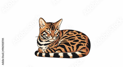 A sleeping Bengal cat with spotted fur lies curled up on a white background