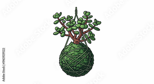 A small green plant with thick stems and rounded leaves, suspended by strings