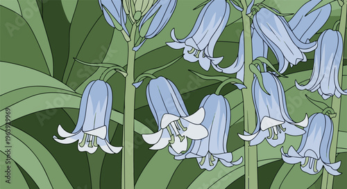 A stylized illustration of bluebell flowers with green foliage