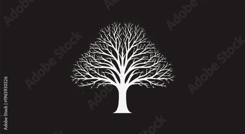 A stark white silhouette of a deciduous tree with bare branches on a black background